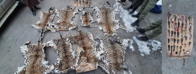 जम्मू-कश्मीर में जंगली जानवरों की प्रतिबंधित खाल बरामद, 1 गिरफ्तार