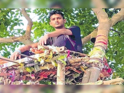 कोविड पॉजिटिव तेलंगाना के एक युवा ने 11 दिन पेड़ पर बिताए
